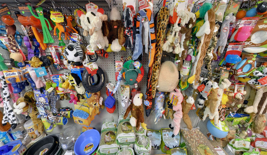 Pet toys in Sebastopol